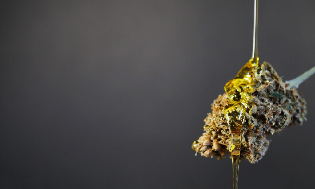 Oil pouring onto cannabis flower on a gray background.