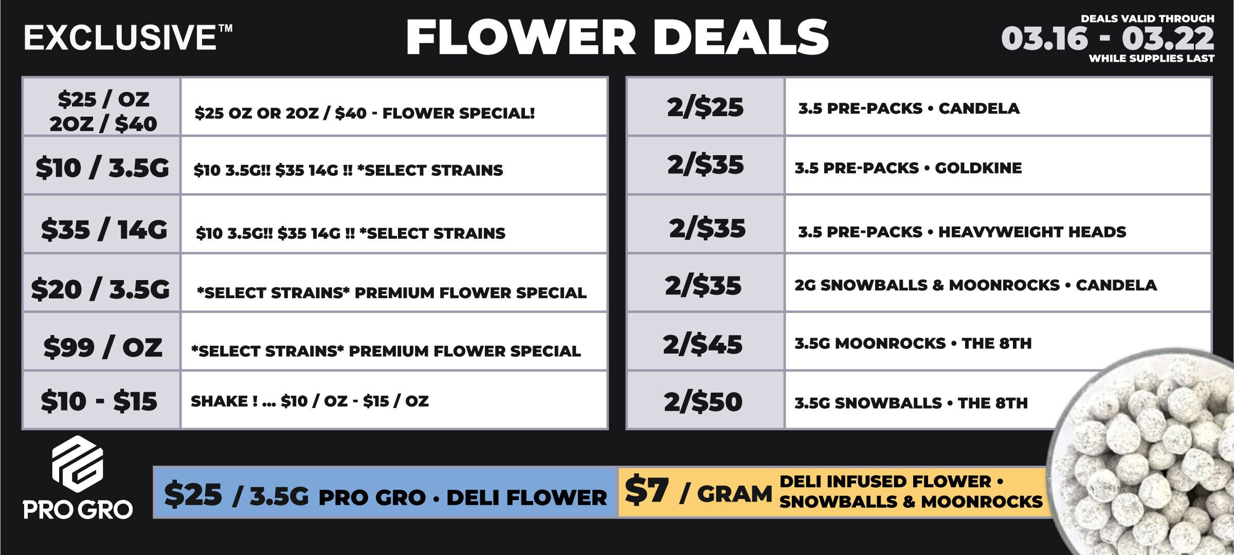 muskegon-flower-03.16